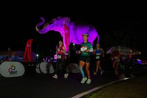 BIB: 
                            <button type="button" onclick="openModal(26543503)" class="btn btn-primary btn-sm float-right btn-popup" data-toggle="modal" data-target=".modal-high-quality">
                        <i class="fas fa-shopping-cart"></i> Add to Cart
                    </button>
                                            <button type="button" onclick="isThisMe(26543503, true)" class="btn btn-success btn-sm float-right btn-popup btn-isme hidden" data-toggle="tooltip" data-placement="bottom" title="นี่คือรูปของคุณใช่ไหม คลิกที่นี่เพื่อเอาเข้าอัลบั้ม">
                        <i class="fas fa-plus"></i> Add to album
                    </button>
                    <button type="button" onclick="isThisMe(26543503, false)" class="btn btn-warning btn-sm float-right btn-popup btn-isnotme hidden">
                        <i class="fas fa-ban"></i> Remove from album
                    </button>